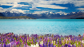 New Zealand, Scenery HD wallpaper