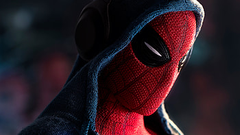 Spiderman In Hoodie, spiderman, superheroes, flickr HD wallpaper