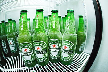 Frosted Heineken beer bottles in a refrigerator showcasing the refreshing coolness. HD wallpaper