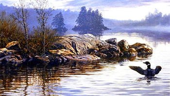 Loon Point, love four seasons, lakes, draw and paint, nature, paintings, loons, rocks HD wallpaper
