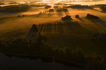 Nature, Trees, Grass, Beams, Rays, Field, Shadow HD wallpaper