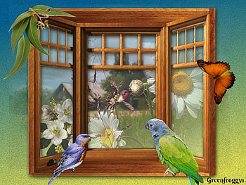 BIRDS IN WINDOW, BIRDS, ART, WINDOW, CREATION HD wallpaper