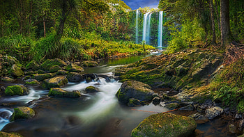 A Waterfall Flowing Through A Subtropical Forest , waterfall, forest, nature HD wallpaper