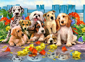 By Howard Robinson, animal, dog, puppy, painting, art, flower, howard robinson, friend HD wallpaper