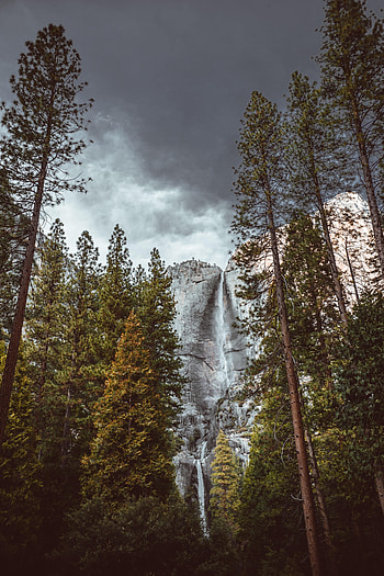 Nature, Rocks, Waterfall, Forest, Bottom View HD phone wallpaper