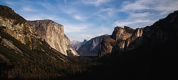 Yosemite, national park, mountains, trees, valley, forest HD wallpaper