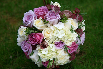 Flowers, Grass, Roses, Bouquet, Hydrangea, Astrantia, Astration HD wallpaper