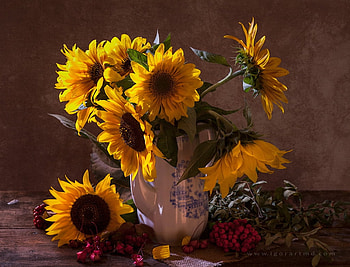 Still life, Sunflowers, Bouquet, Berries HD wallpaper