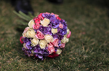 Flowers, Grass, Roses, Blur, Smooth, Bouquet, Hydrangeas HD wallpaper
