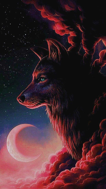 Wolf , Majestic creature, Enchanting beauty, Untamed spirit HD phone wallpaper