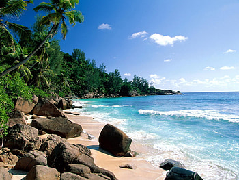 Landscape, Water, Sea, Beach, Palms HD wallpaper