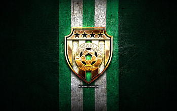 Cherno More Varna FC, golden logo, Parva liga, green metal background, football, bulgarian football club, Cherno More Varna logo, soccer, PFK Cherno More Varna HD wallpaper