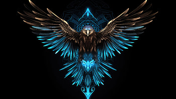Hawk Glowing Dark , hawk, dark, artist, artwork, digital-art, dark, black HD wallpaper