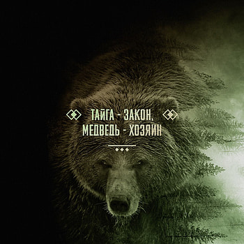 Тайга Закон, terrestrial animal, Wind, art HD phone wallpaper