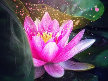 Digital art, lotus, glitter, close up HD wallpaper