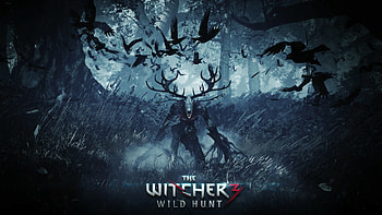 The Witcher 3 Wild Hunt, Video game, High-resolution , Immersive landscapes HD wallpaper