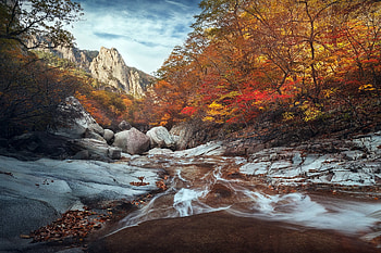Autumn Forest, Nature, Forest, River, Trees HD wallpaper