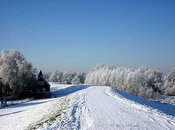 ** winter ** winter **, blue, winter, white, snowy, house, cold, beautiful, tree, snow, trees, nature, sky, lovely, village, ice HD wallpaper