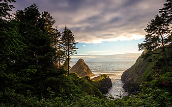 Sea Lion Caves, Florence, evening, sunset, beautiful landscape, Oregon, USA HD wallpaper