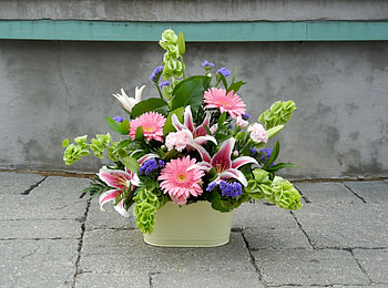 Flowers, Lilies, Carnations, Gerberas, Registration, Typography, Composition HD wallpaper