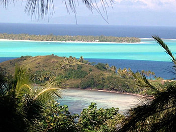 Bora Bora, palms, island, tropical, ocean, beach HD wallpaper