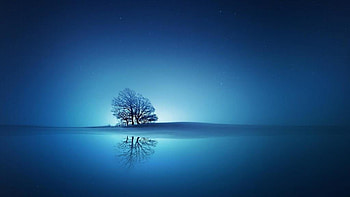 Blue Sunset, Blue Water, Tree, Lake, Reflection, Sky HD wallpaper