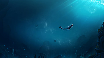 Lonely Whale, whale, artist, artwork, digital-art, behance, fish HD wallpaper