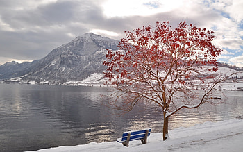 Landscape, Nature, Trees, Mountains, Lakes HD wallpaper
