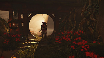Ghost of Tsushima, Ghost of Tsushima HD wallpaper