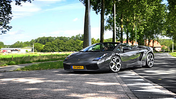 lamborghini, road, speed, tree HD wallpaper