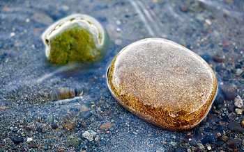 Nature, Water, Stones, Transparent, Wet HD wallpaper