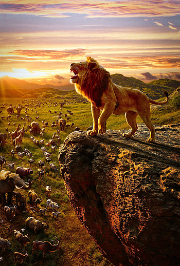 Mufasa Roar in Lion King Movie HD phone wallpaper