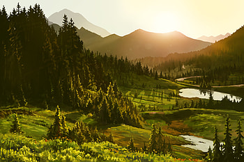 Art, Mountains, Sun, Forest HD wallpaper