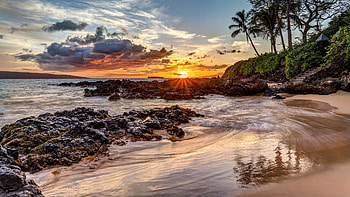Sunset, palm tree, Summer, Paradise, Fantastic HD wallpaper