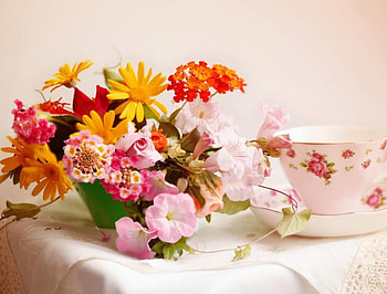 Lovely flowers, soft, bunch, beautiful, cup, delicate, petals, nature, flowers, blooms, lovely HD wallpaper