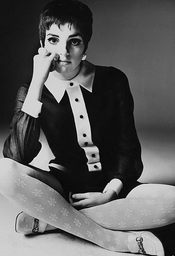 Liza Minnelli, Bert Stern, Pleasure, Captivating shots HD phone wallpaper