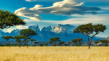 Landscape, Nature, Trees, Mountains, Savanna, Field HD wallpaper