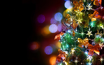 Stars and bows, Christmas Trees HD wallpaper