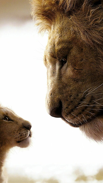 The Lion King animation, AMOLED , Stunning visuals, Vibrant colors HD phone wallpaper