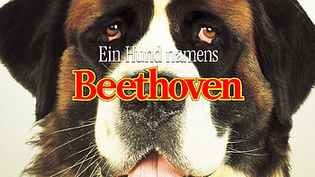 Beethoven movie, Stream online, Google Play, YouTube HD wallpaper