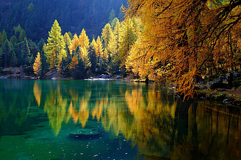 Autumn Forest, Lake, Forest, Autumn, Trees HD wallpaper