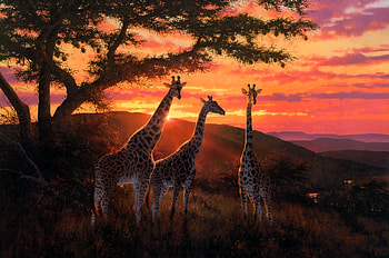 Giraffe painting, Nature, Giraffe, painting, artist HD wallpaper