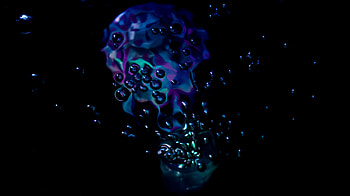 Abstract, Bubbles, Dark, Glare HD wallpaper