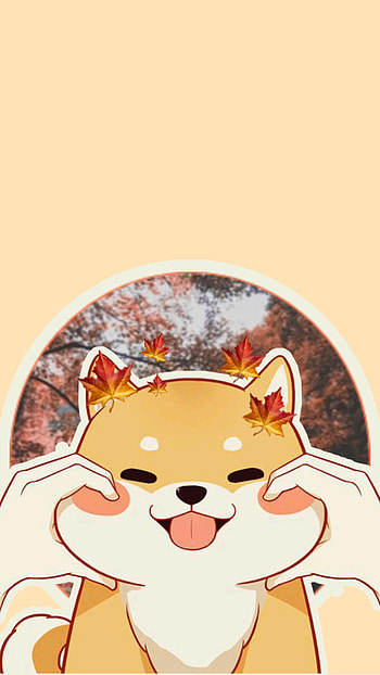 Shiba Inu, Shibainu dog HD phone wallpaper