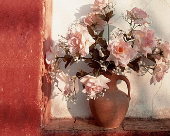 Arragements, pink, flowers HD wallpaper