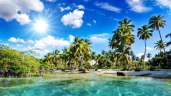 Nature Full, Tropical HD wallpaper