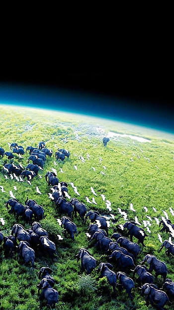 Planet Earth (2022) movie HD phone wallpaper