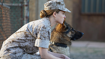 Megan Leavey (2022) movie HD wallpaper