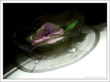 still life 1, art , still life, reflection, glass, nature, flowers, water, nice HD wallpaper
