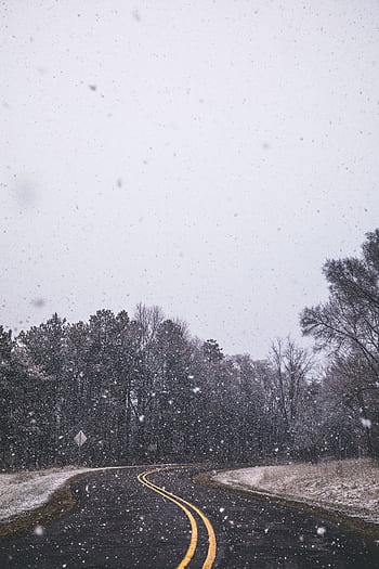 A serene winter scene featuring a snow-covered winding road amidst bare trees. HD phone wallpaper